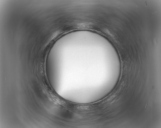 X0000060771211200512011602