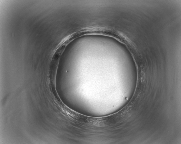 X0000060771213200512011602