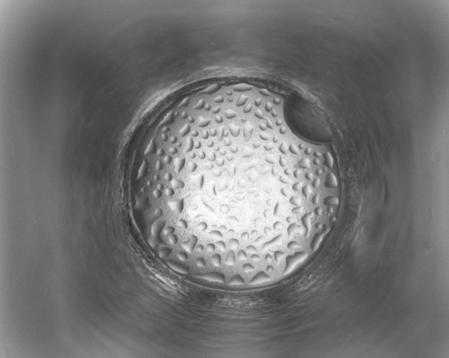 X0000060771215200512011603