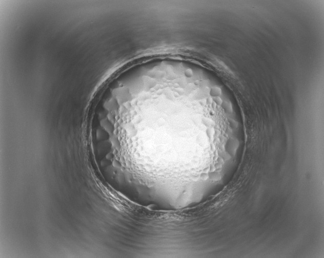 X0000060771216200512011603