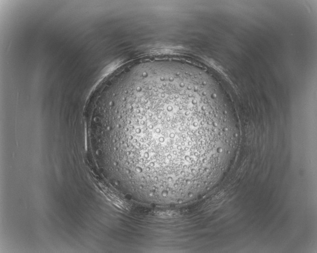 X0000060771219200512011603