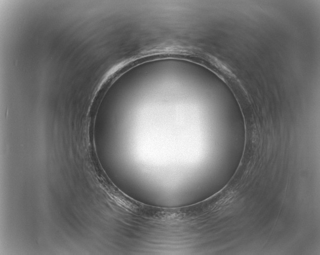 X0000060771222200512011603