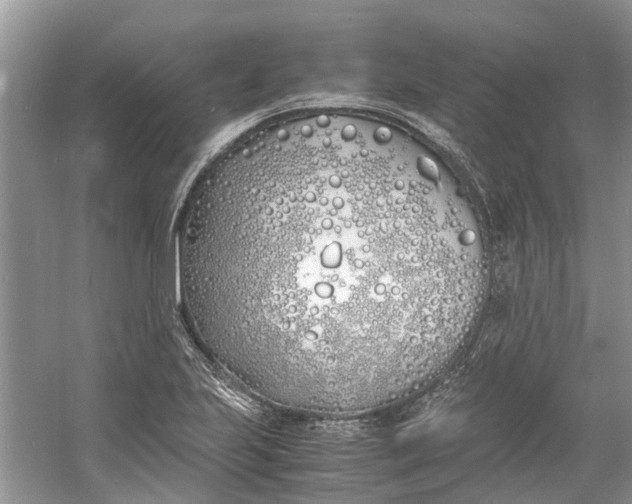 X0000060771223200512011603