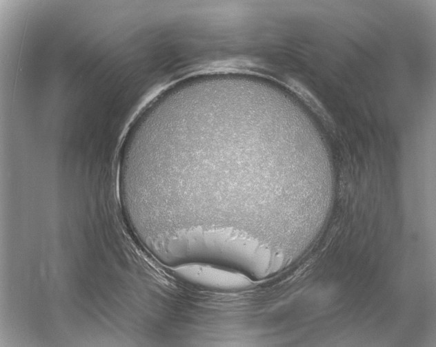 X0000060771224200512011603