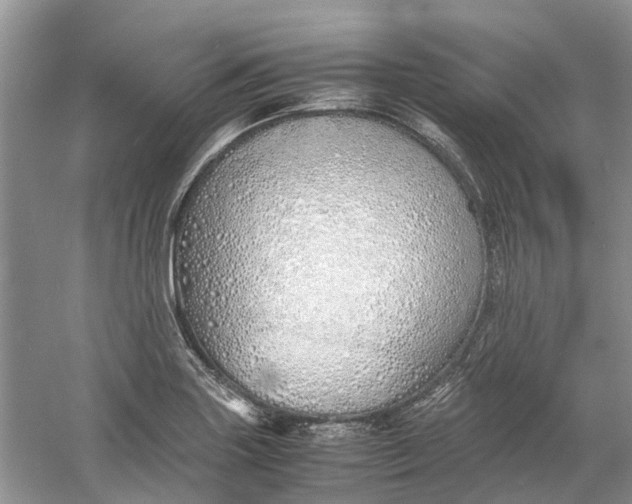 X0000060771227200512011603