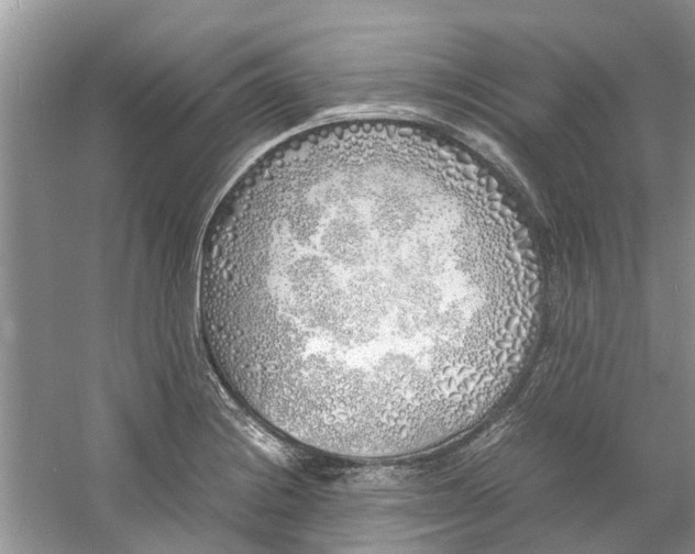 X0000060771228200512011603