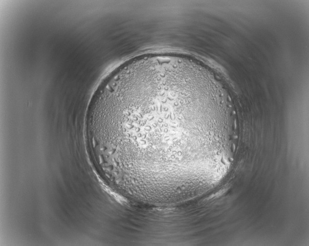 X0000060771231200512011603