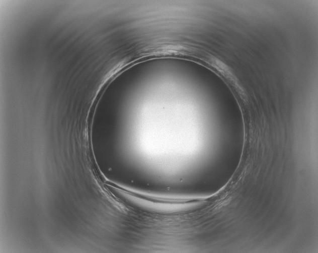 X0000060771234200512011603