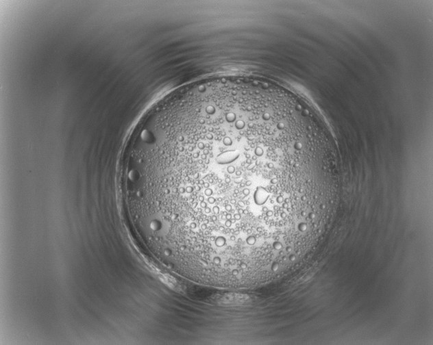 X0000060771235200512011603