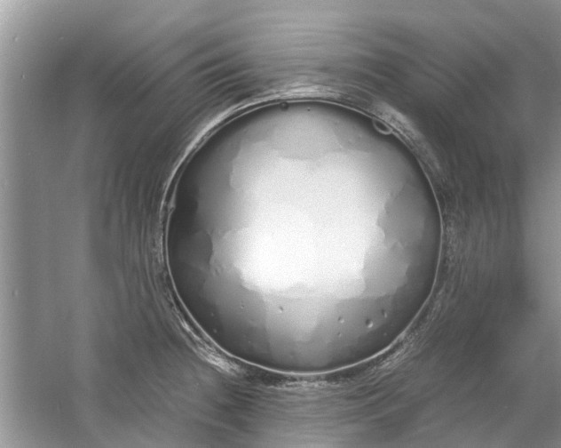 X0000060771236200512011603