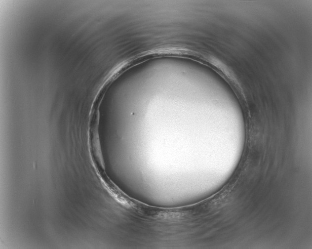 X0000060771237200512011603