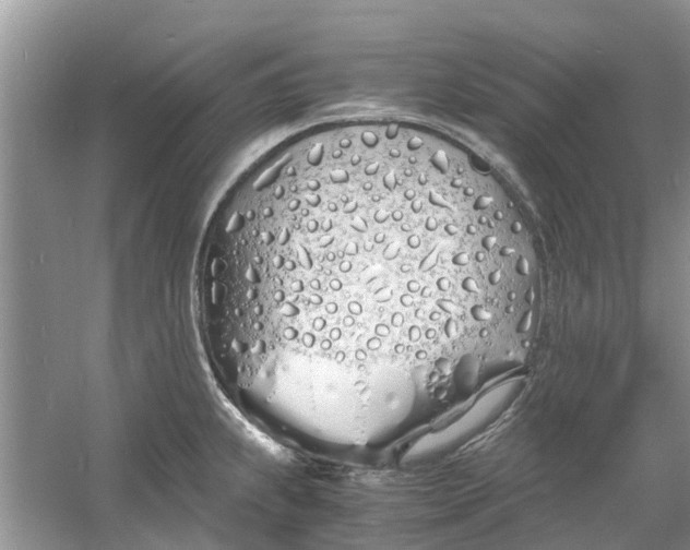 X0000060771239200512011603