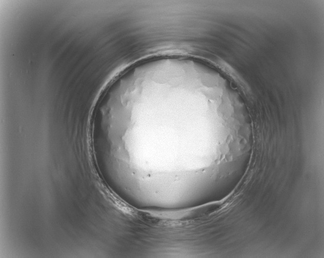 X0000060771240200512011603