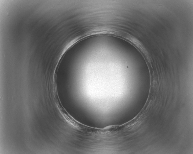 X0000060771242200512011603