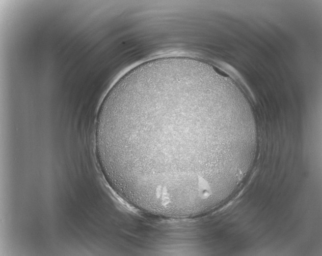 X0000060771244200512011603