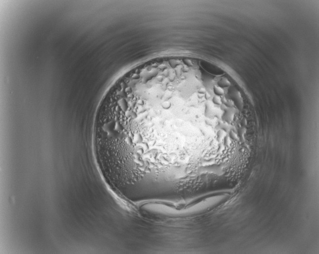 X0000060771245200512011603