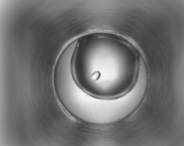 X0000060771246200512011603