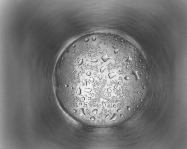 X0000060771247200512011603