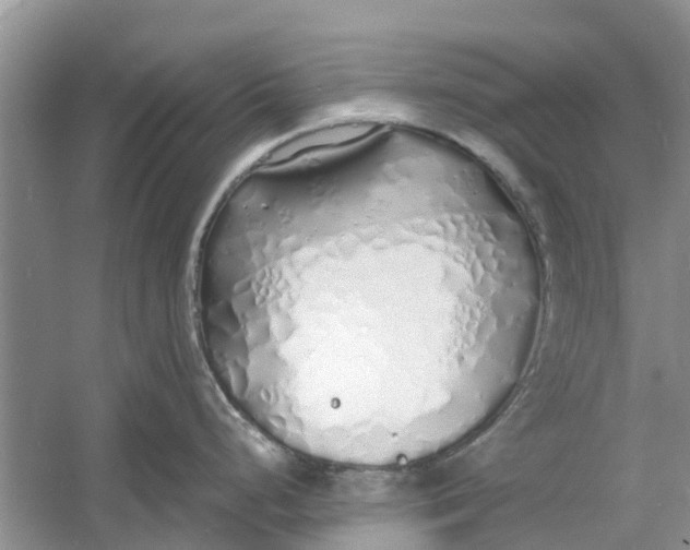 X0000060771248200512011603