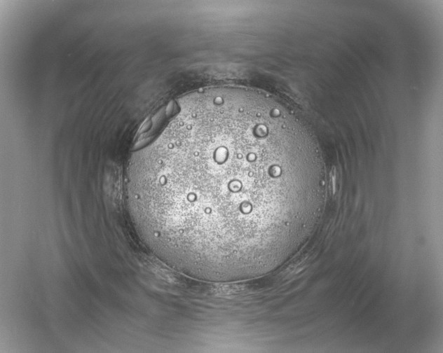 X0000060771251200512011602