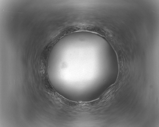 X0000060771253200512011602