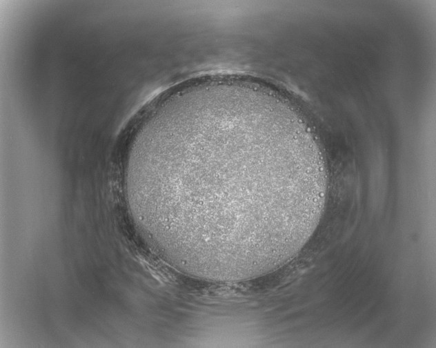 X0000060771255200512011602