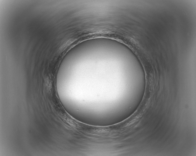 X0000060771257200512011602