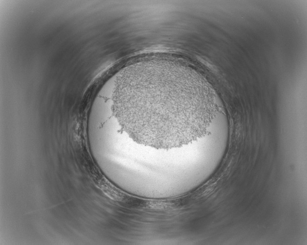 X0000060771258200512011602