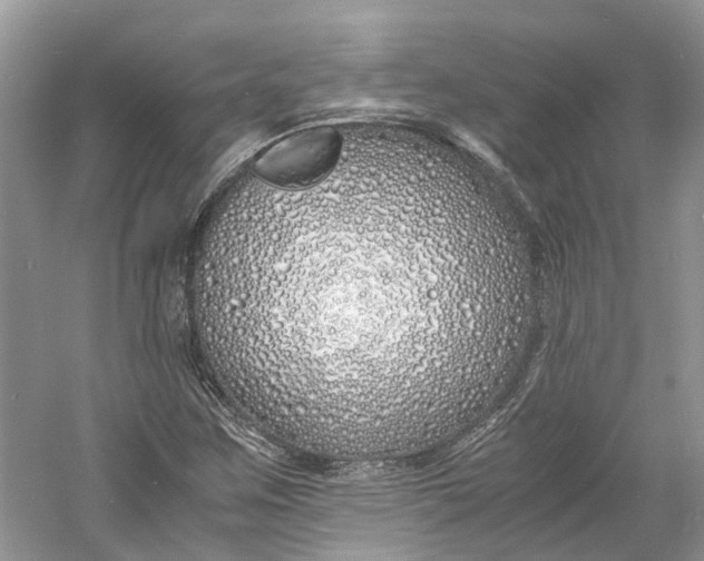 X0000060771259200512011602