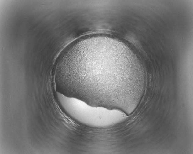 X0000060771260200512011602