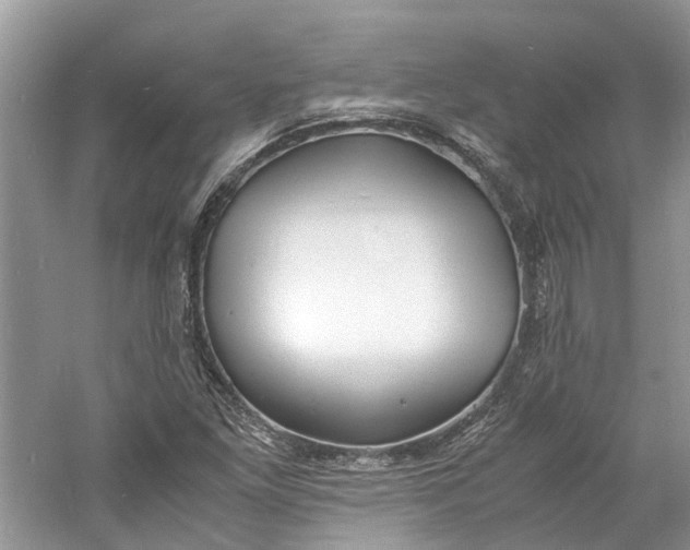 X0000060771261200512011602