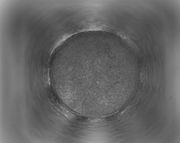 X0000060771262200512011602