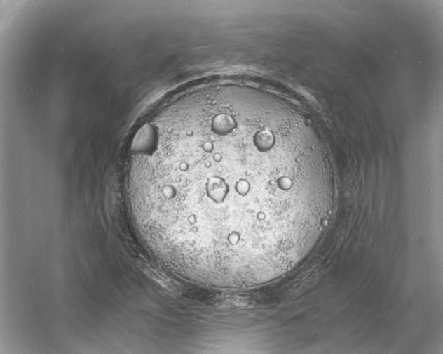 X0000060771263200512011602