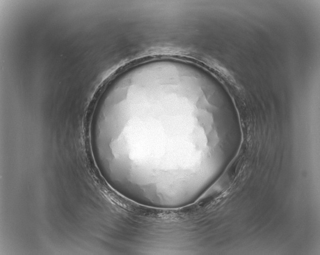 X0000060771264200512011602