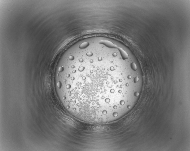 X0000060771266200512011602