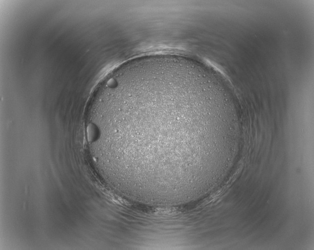 X0000060771267200512011602