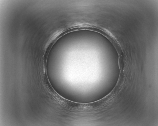 X0000060771269200512011602