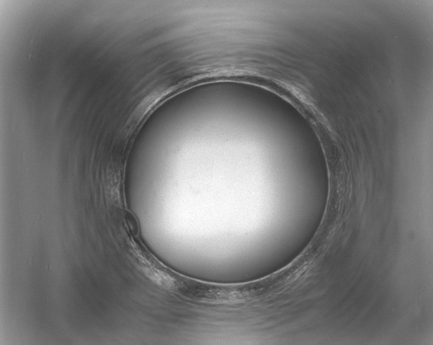 X0000060771273200512011602