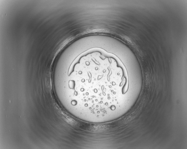 X0000060771274200512011602