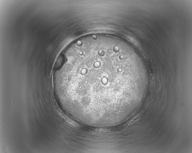 X0000060771275200512011602