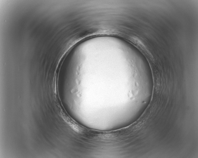 X0000060771276200512011602