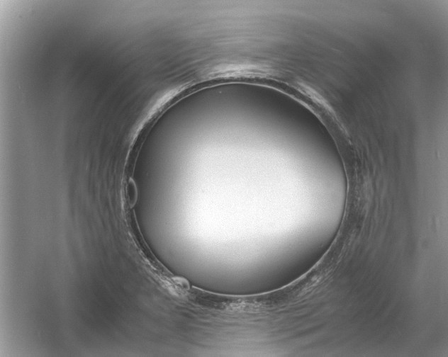 X0000060771277200512011602