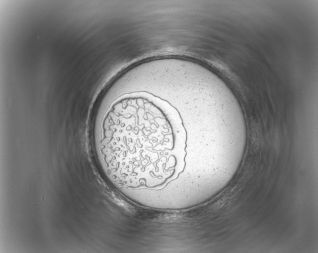 X0000060771278200512011602