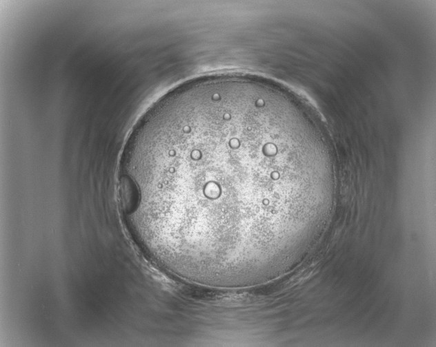 X0000060771279200512011602