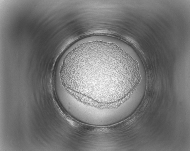 X0000060771282200512011602