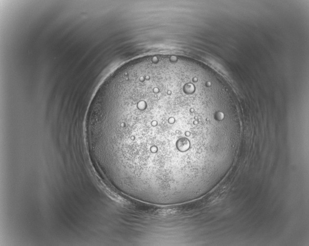 X0000060771283200512011602