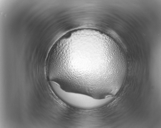 X0000060771284200512011602