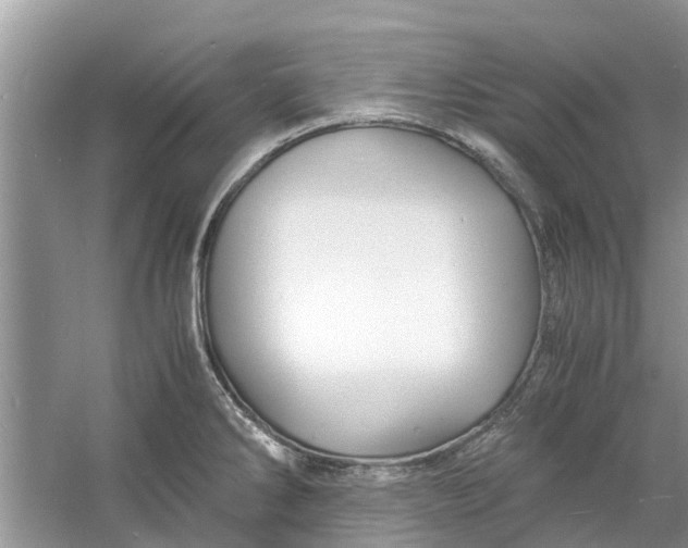 X0000060771286200512011602