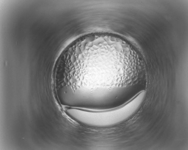 X0000060771287200512011602