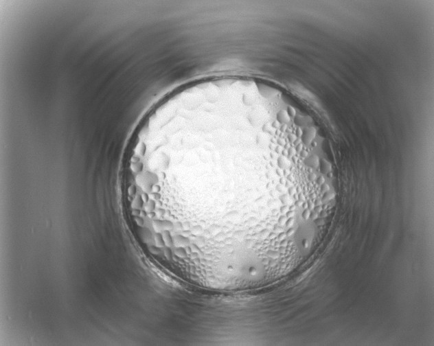 X0000060771288200512011602